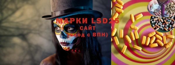 прущая мука Вяземский