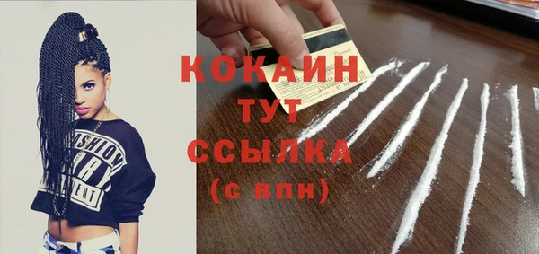 прущая мука Вяземский